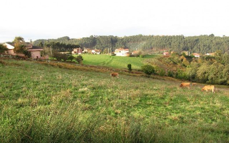 FINCA VENTA PLAYA DE ESPAÑA